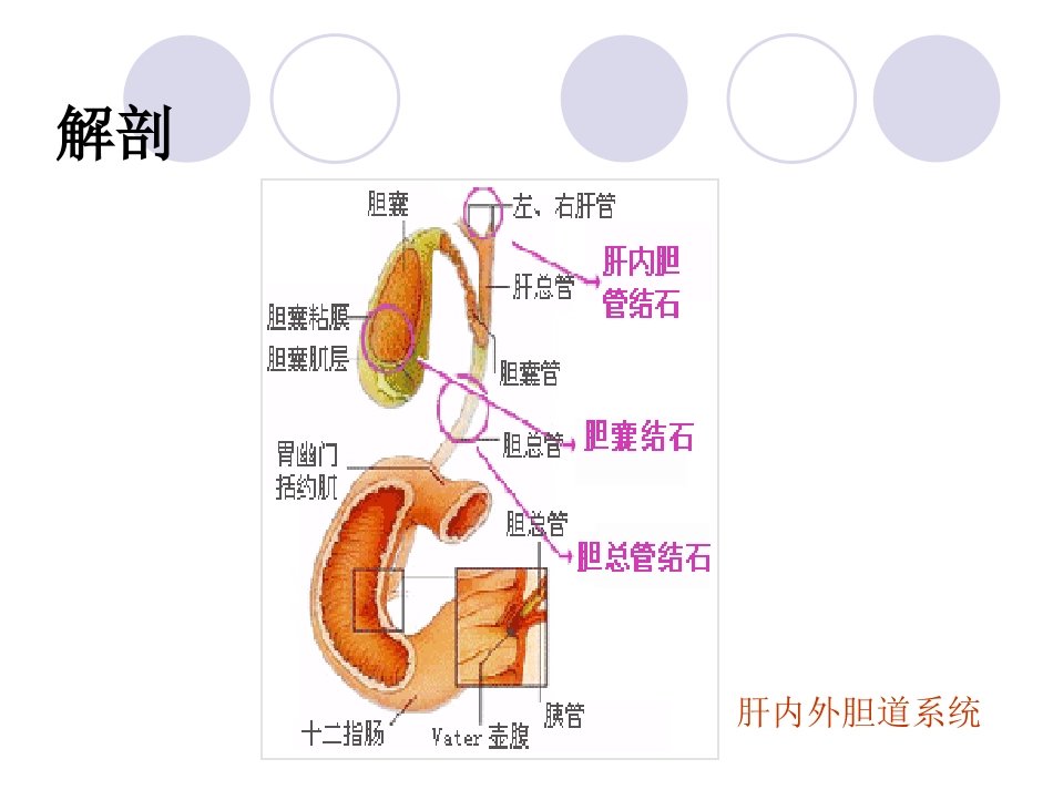 胆管结石_第3页