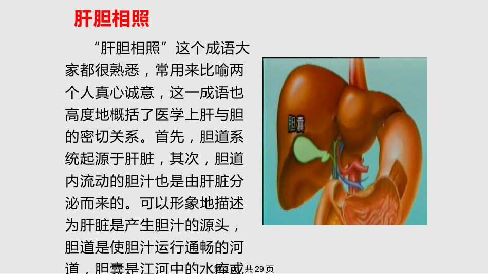 胆囊结石的治疗_第3页
