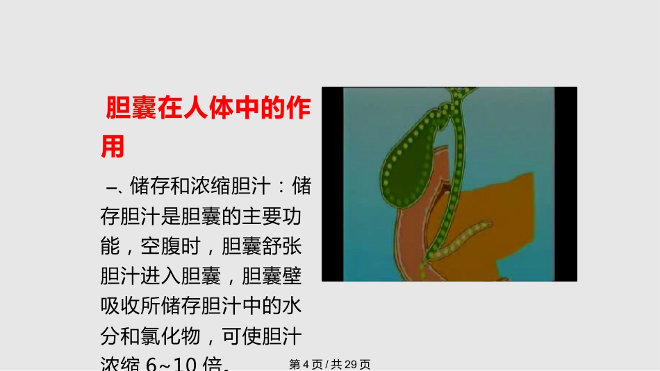 胆囊结石的治疗_第4页