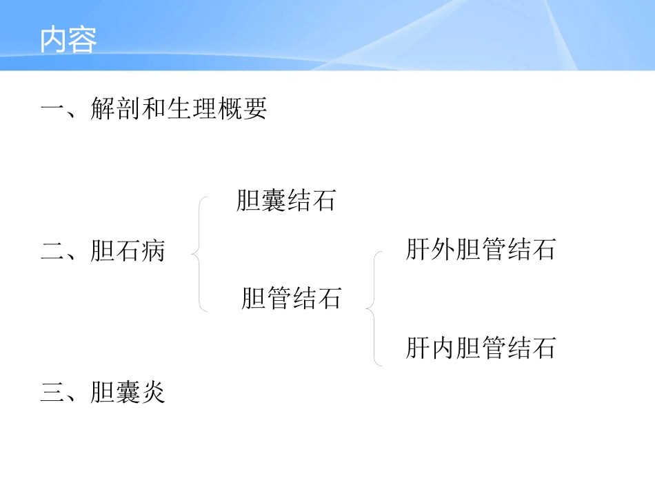 胆囊炎、胆石症_第2页