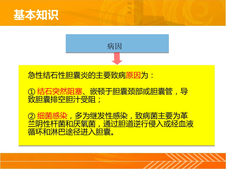 胆结石、胆囊炎-临床技能_第4页