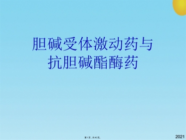 胆碱受体激动药与抗胆碱酯酶药