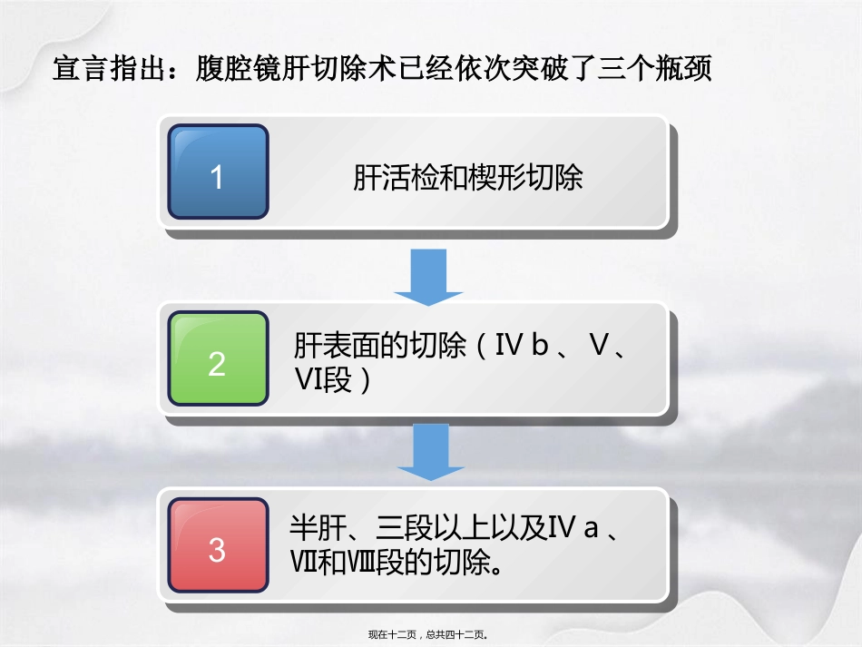 腹腔镜在肝胆胰外科应用进展_第12页