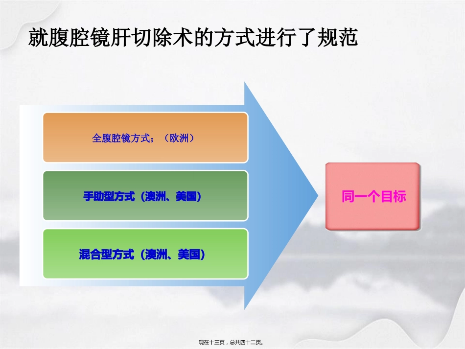 腹腔镜在肝胆胰外科应用进展_第13页