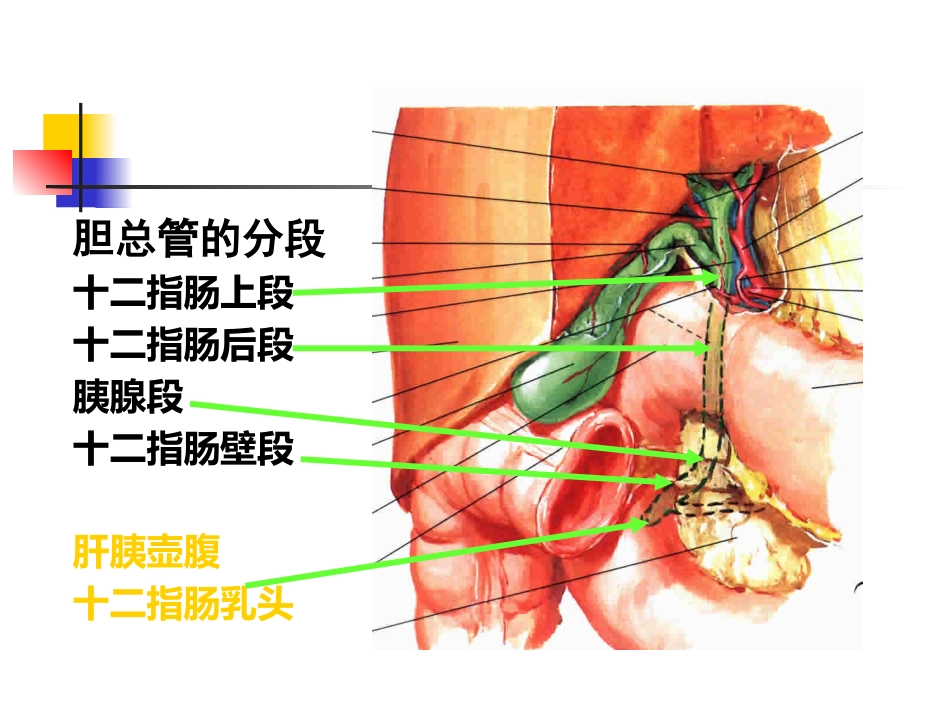 胆囊炎、胆石症课件_第11页