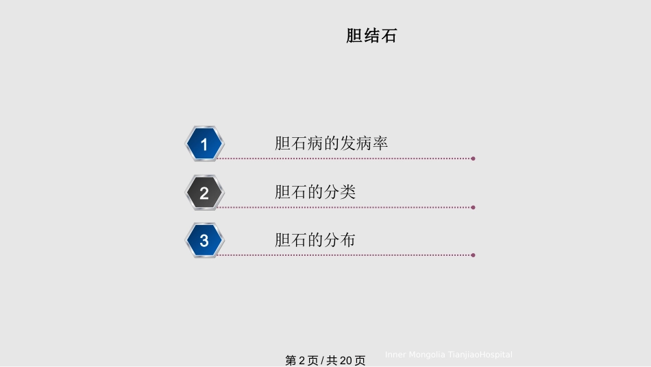 胆结石与胆囊结石PPT课件_第2页
