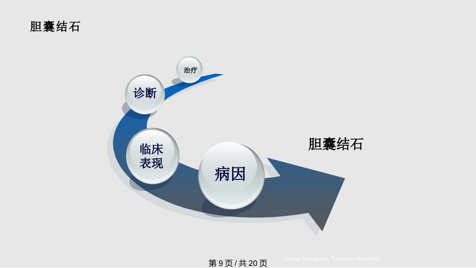 胆结石与胆囊结石PPT课件_第9页