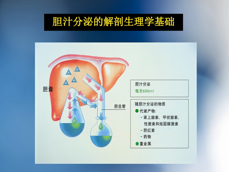 胆汁淤积性肝病介绍_第4页