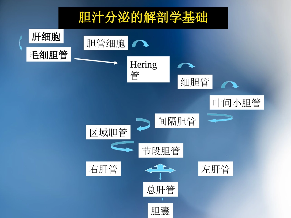 胆汁淤积性肝病介绍_第5页