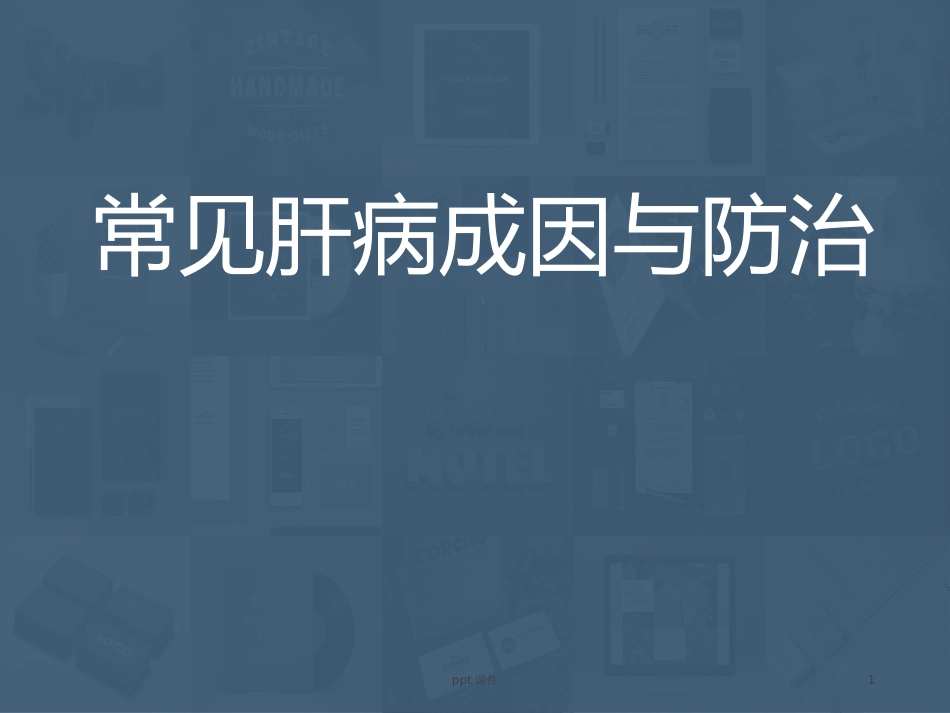 常见肝病成因与防治 ppt课件_第1页