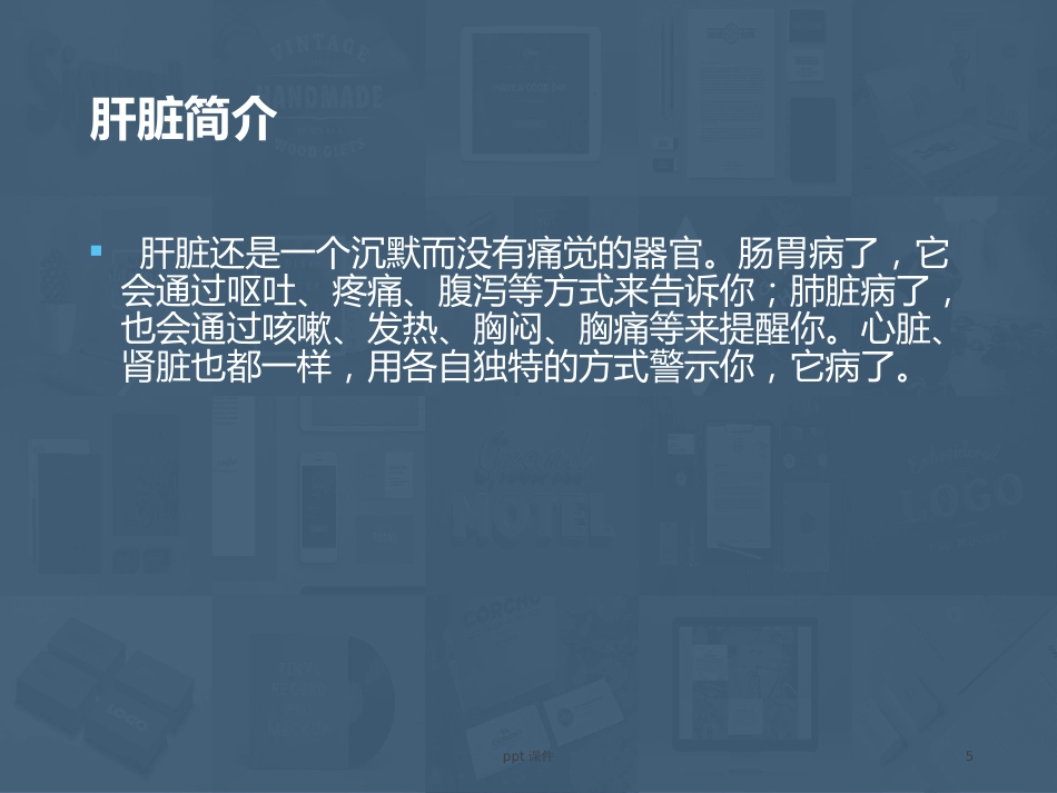 常见肝病成因与防治 ppt课件_第5页