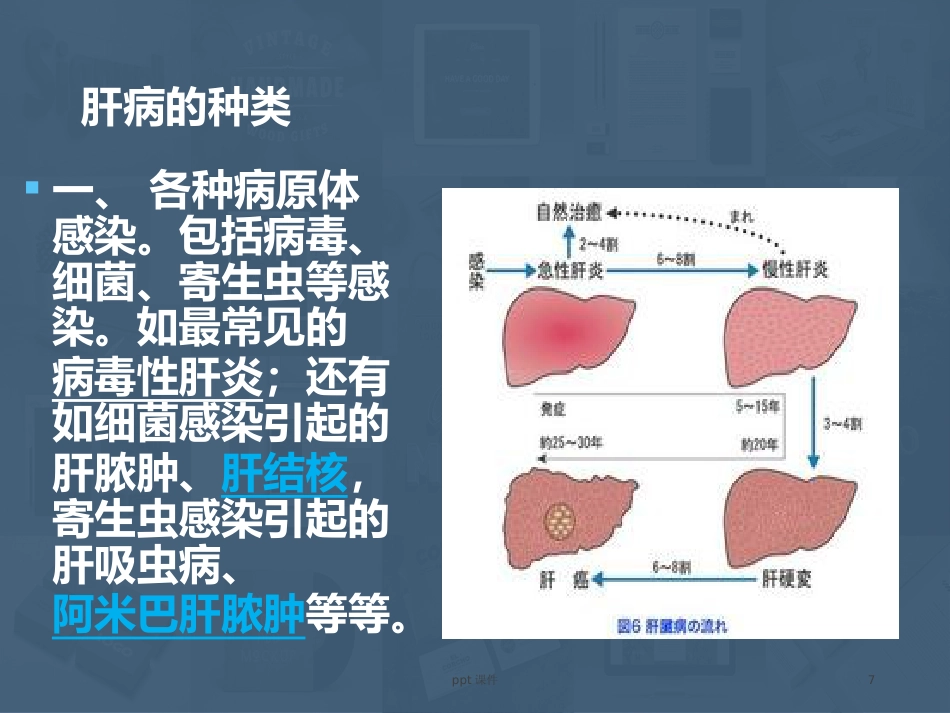 常见肝病成因与防治 ppt课件_第7页