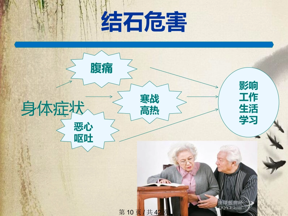 胆石症课件_第10页