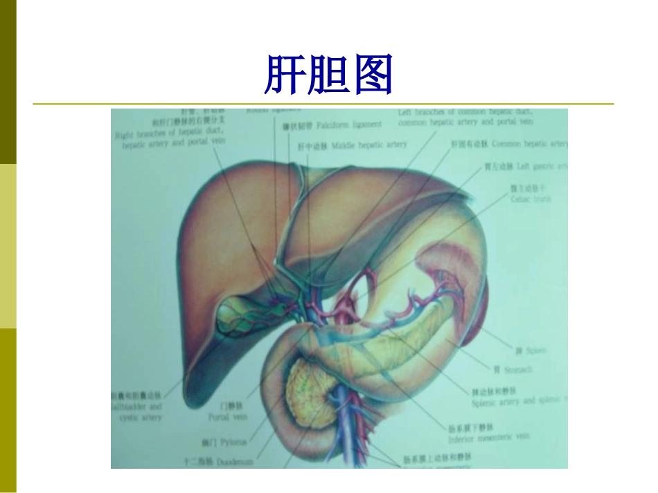 胆囊结石成因和治疗进展PPT课件_第3页