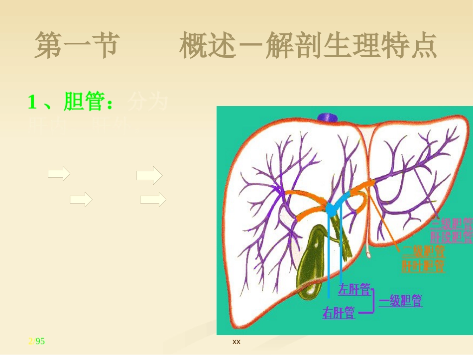 胆道外科_第2页