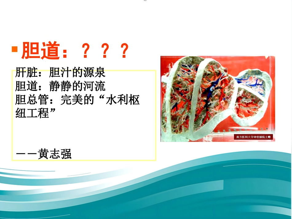 胆道系统结石的外科治疗_第10页