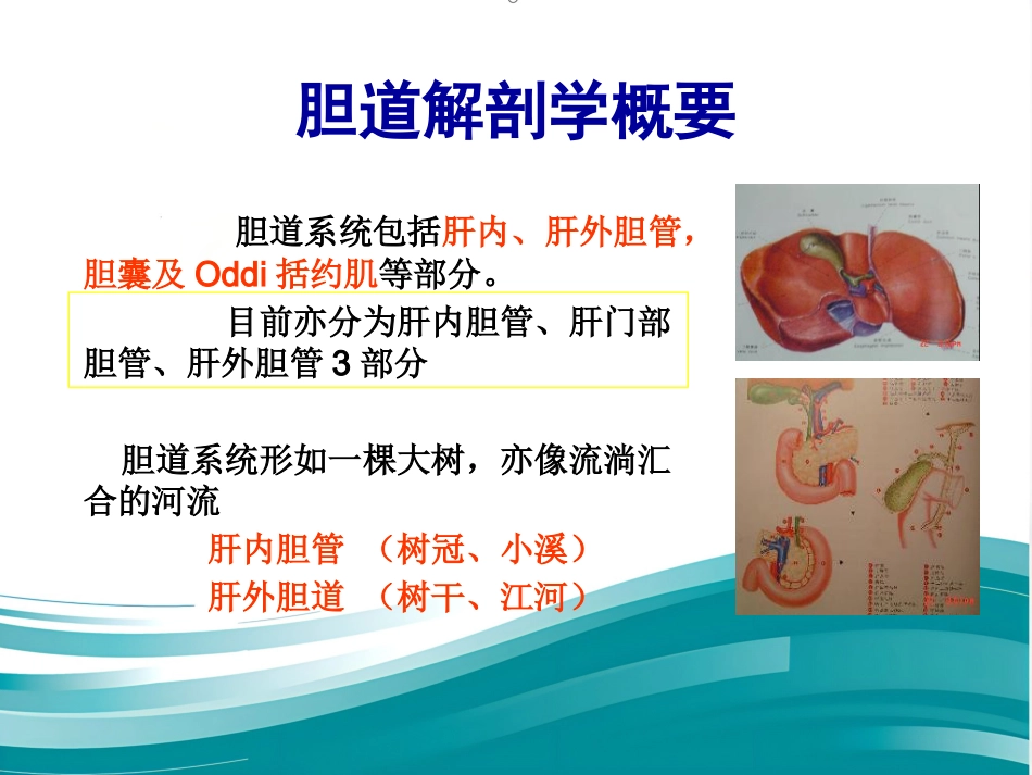 胆道系统结石的外科治疗_第12页