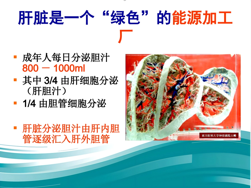胆道系统结石的外科治疗_第13页