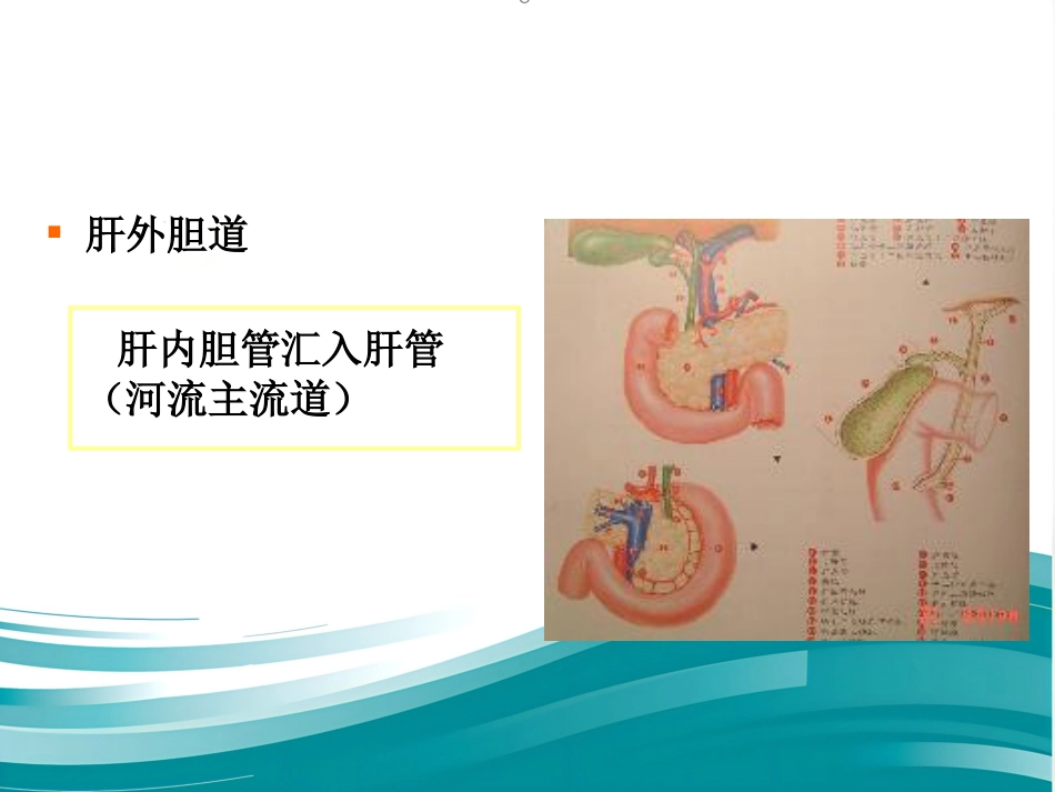胆道系统结石的外科治疗_第14页