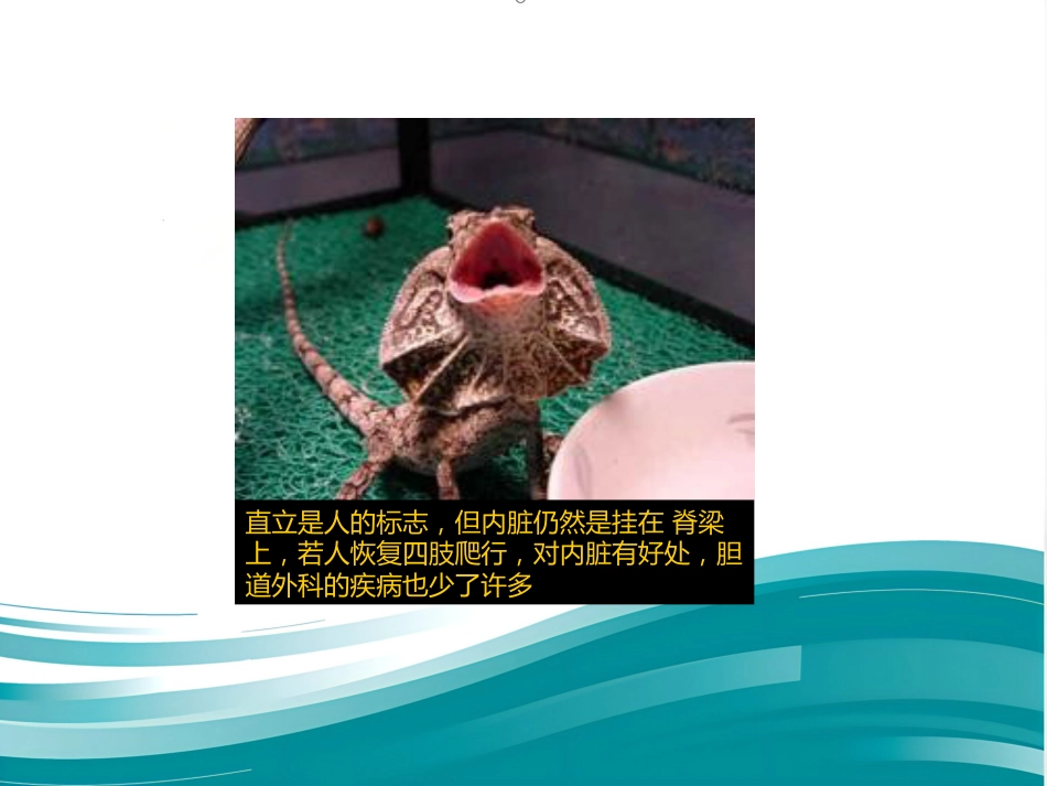 胆道系统结石的外科治疗_第2页