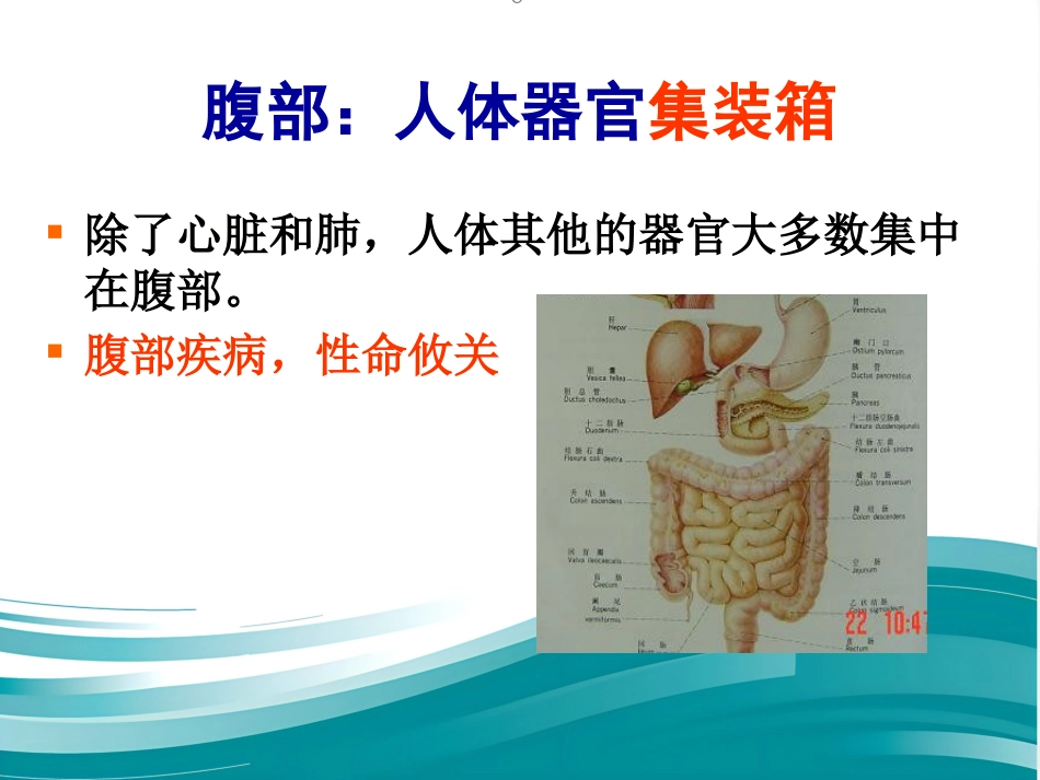 胆道系统结石的外科治疗_第3页