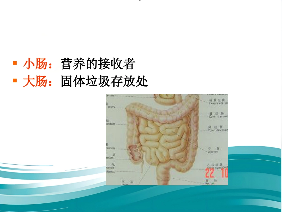 胆道系统结石的外科治疗_第5页