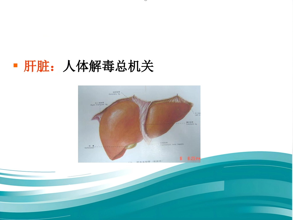 胆道系统结石的外科治疗_第6页