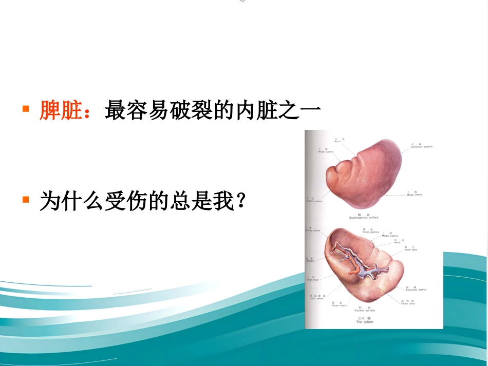 胆道系统结石的外科治疗_第7页