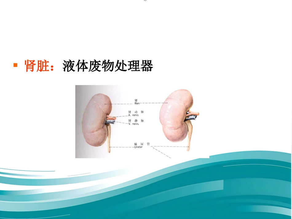 胆道系统结石的外科治疗_第9页