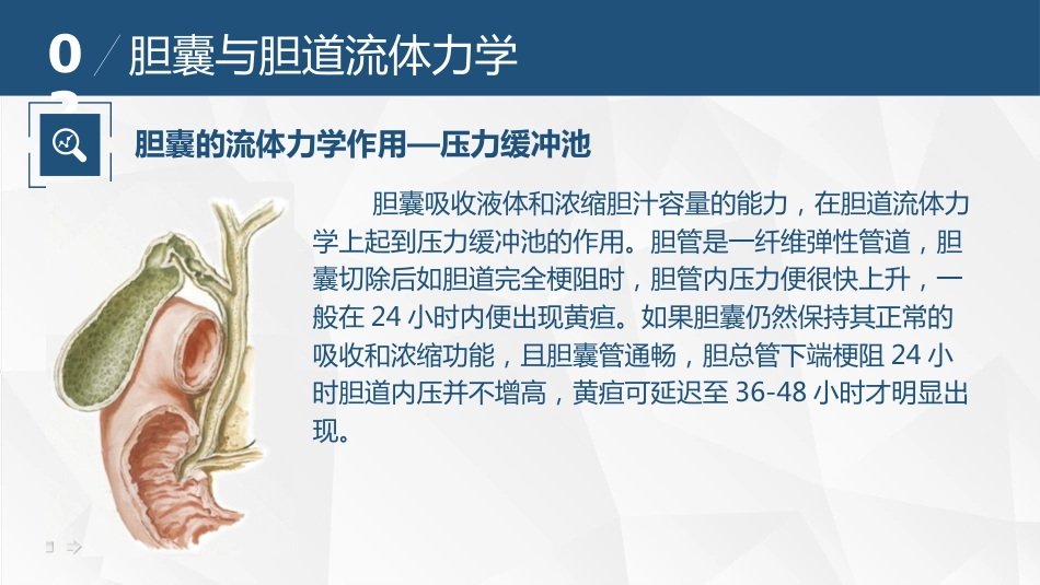 胆道流体力学与胆道疾病_第10页