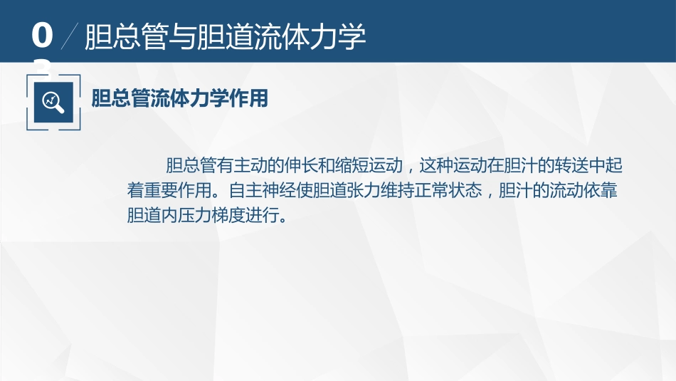 胆道流体力学与胆道疾病_第13页