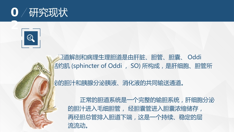胆道流体力学与胆道疾病_第5页