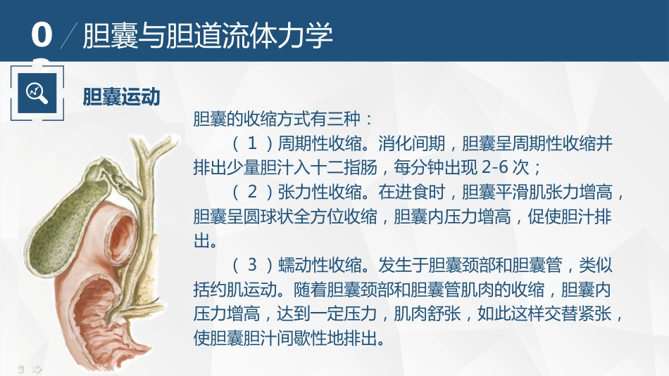 胆道流体力学与胆道疾病_第8页