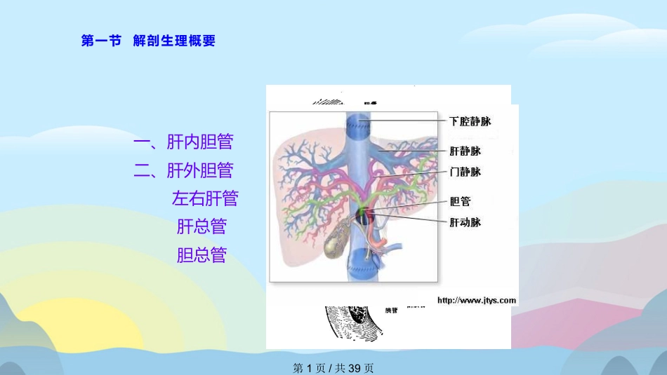 胆囊结石胆囊炎实用课件PPT_第1页