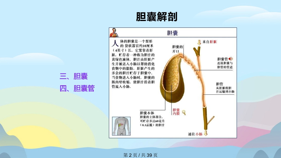 胆囊结石胆囊炎实用课件PPT_第2页