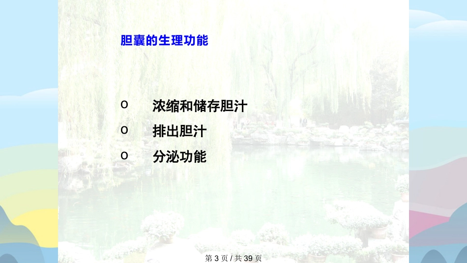 胆囊结石胆囊炎实用课件PPT_第3页