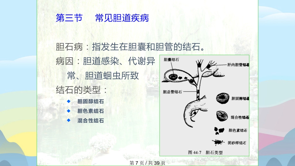 胆囊结石胆囊炎实用课件PPT_第7页