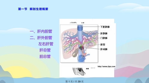 胆囊结石胆囊炎实用课件PPT
