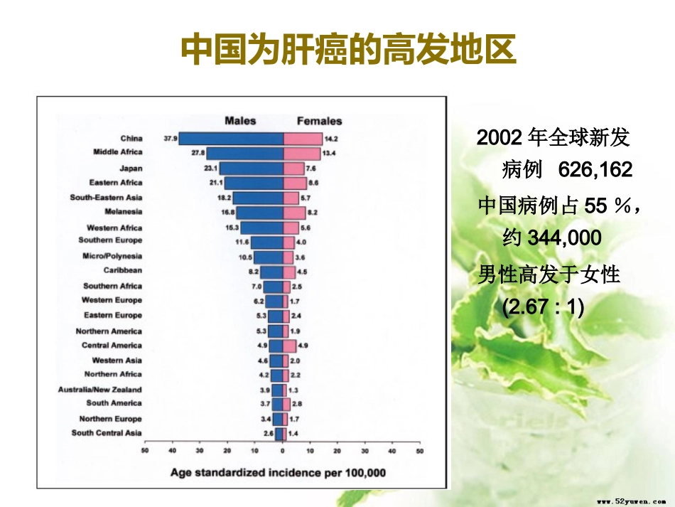 超声造影下的肝癌射频消融治疗的临床应用_第5页