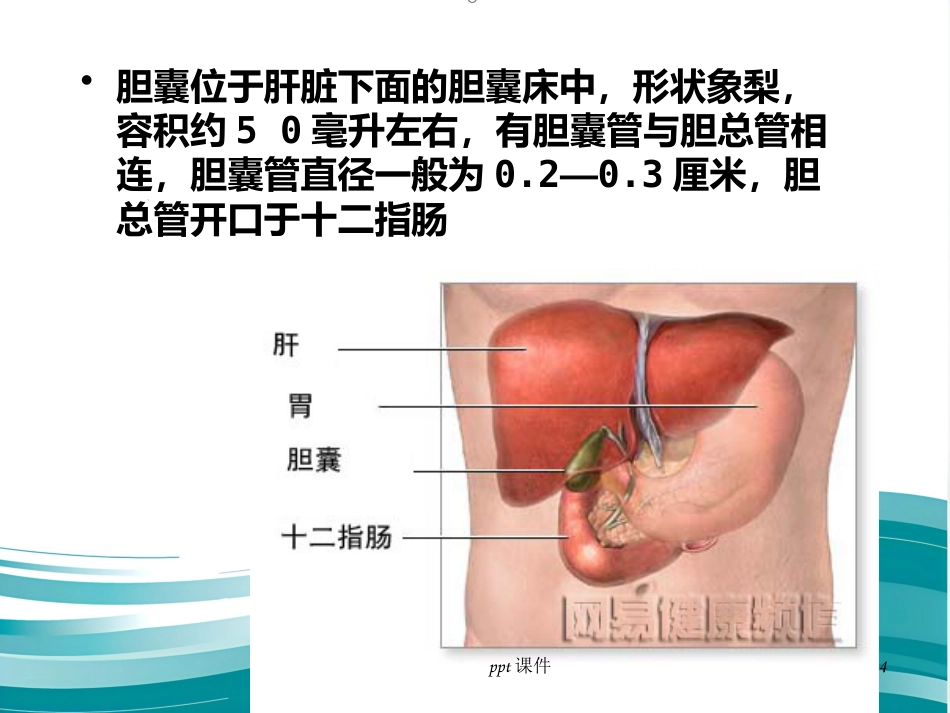 胆囊炎 胆结石ppt课件_第4页