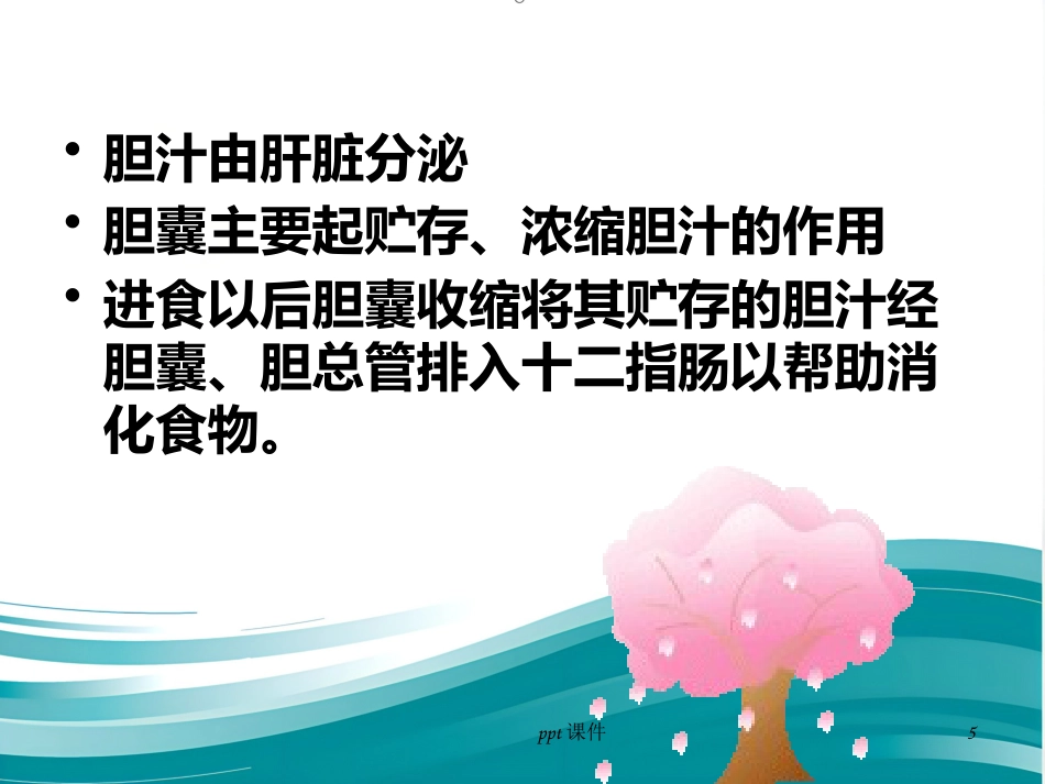 胆囊炎 胆结石ppt课件_第5页