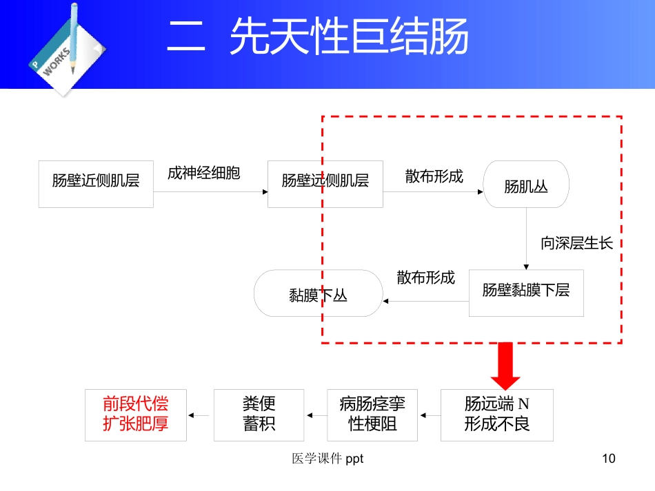 《直肠及肛门疾病》PPT课件_第10页