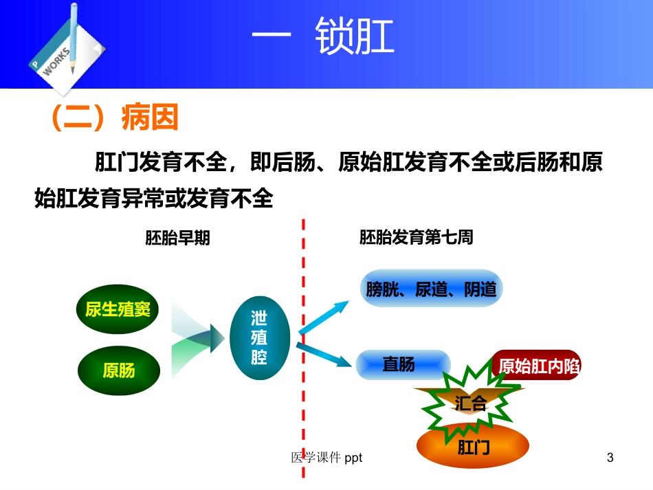 《直肠及肛门疾病》PPT课件_第3页