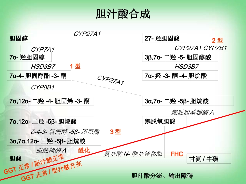 不明原因肝病(病例分享)_第13页