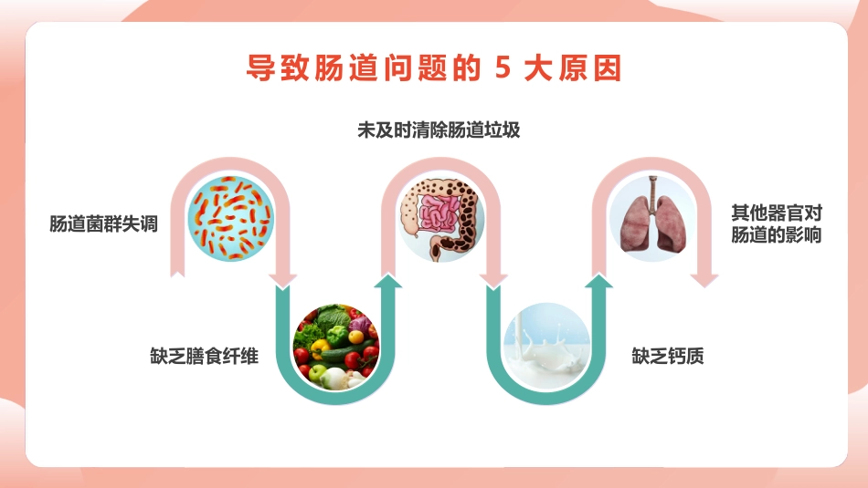 《人体健康 从肠计议》PPT课件_第13页