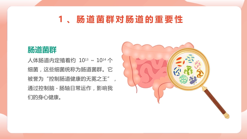 《人体健康 从肠计议》PPT课件_第14页