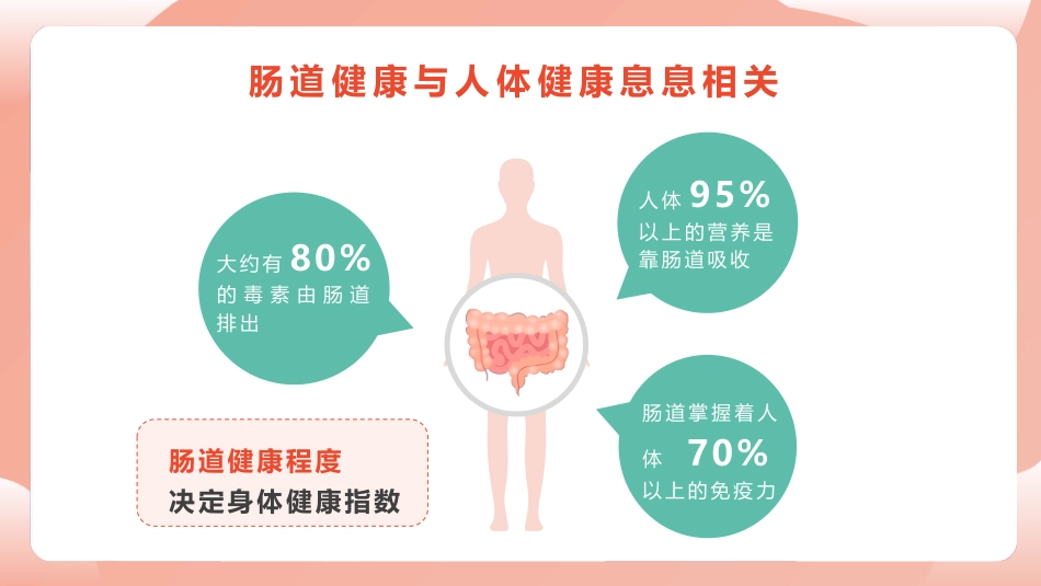 《人体健康 从肠计议》PPT课件_第4页
