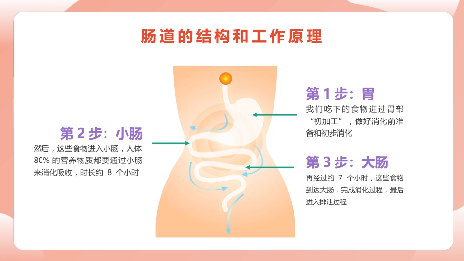 《人体健康 从肠计议》PPT课件_第5页