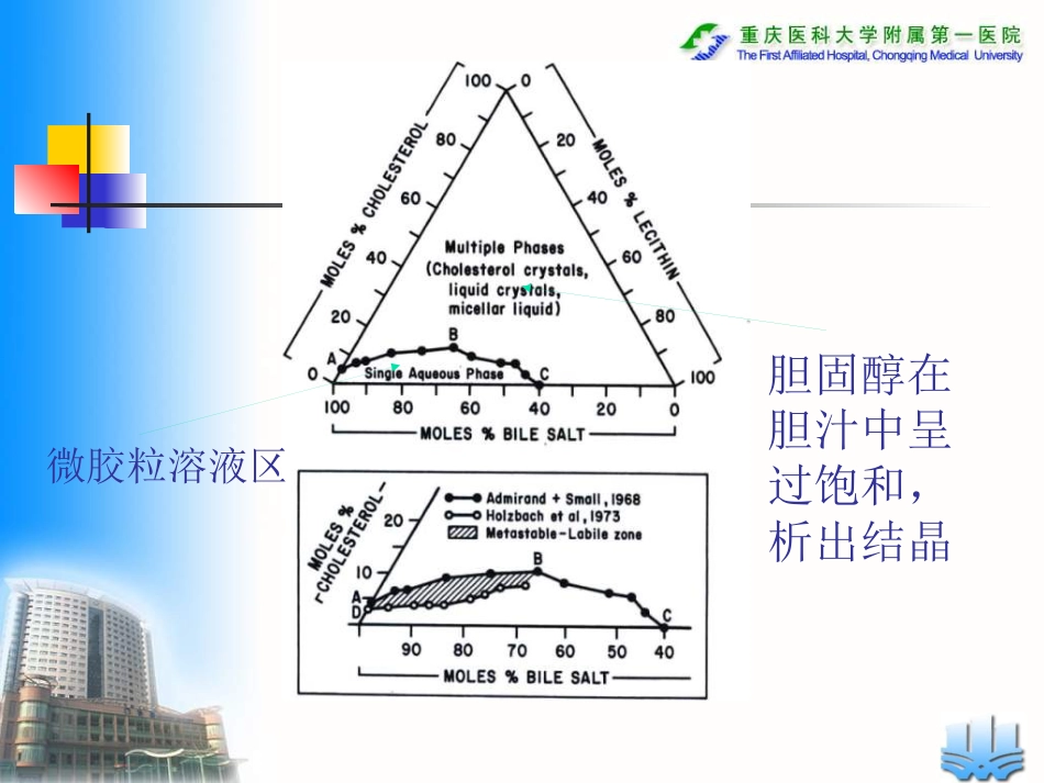 常见胆道疾病_第11页