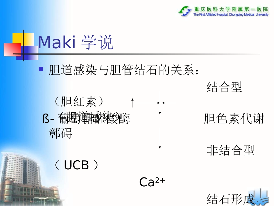 常见胆道疾病_第15页